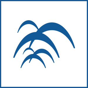 Die Einfrequenz-Technik