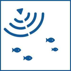 LiveSight™ Forward