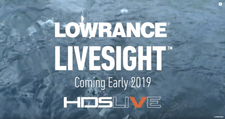 Ab Frühjahr 2019: Lowrance LIVE SIGHT Sonartechnik