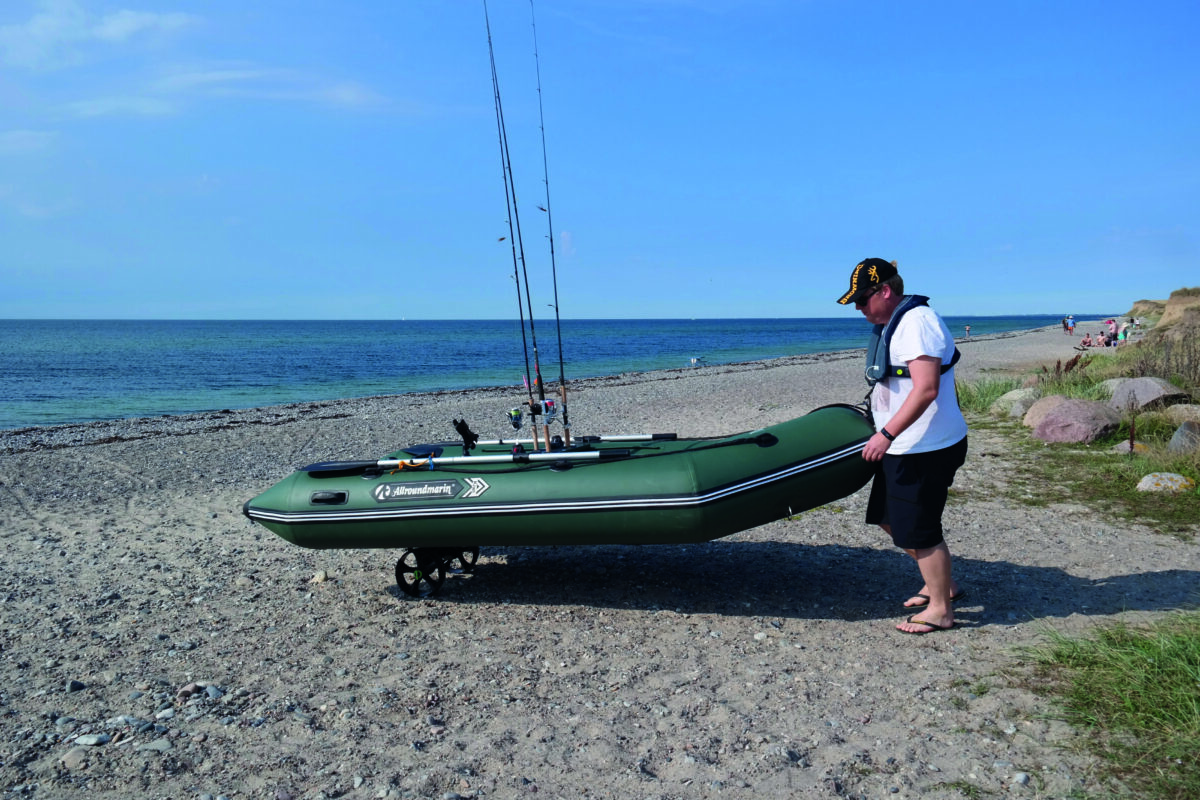 Allroundmarin Kiwi