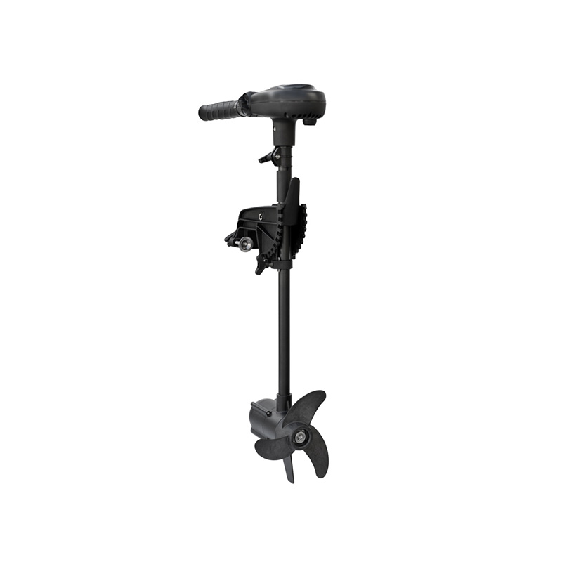 Haswing Protruar 1.0 S / 600W 12V / Brushless / Extra-Kurzschaft