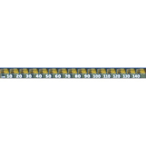 Fisch Maßband zum Aufkleben - Barsch - 150cm x 10cm (LxH)