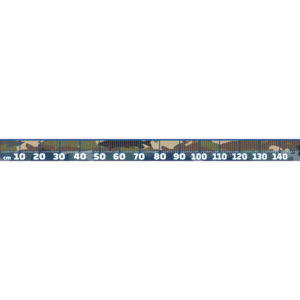 Fisch Maßband zum Aufkleben - Fisch Camouflage Grün - 150cm x 10cm (LxH)
