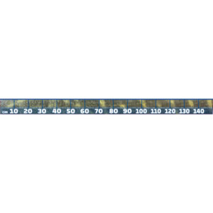 Fisch Maßband zum Aufkleben - Hecht - 150cm x 10cm  (LxH)
