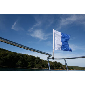 Railblaza 02-4009-11 Flagstock