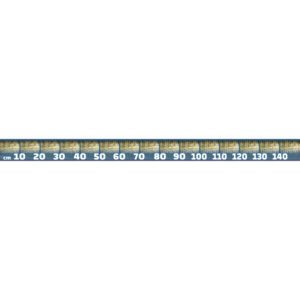 Fisch Maßband zum Aufkleben - Zander - 150cm x 10cm (LxH)