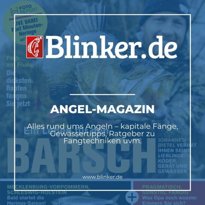 Unsere Partner