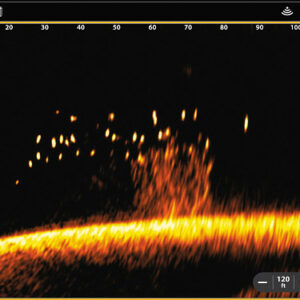 Humminbird Mega LIVE 2 Geber mit Klemmhalterung - Neuheit 2025