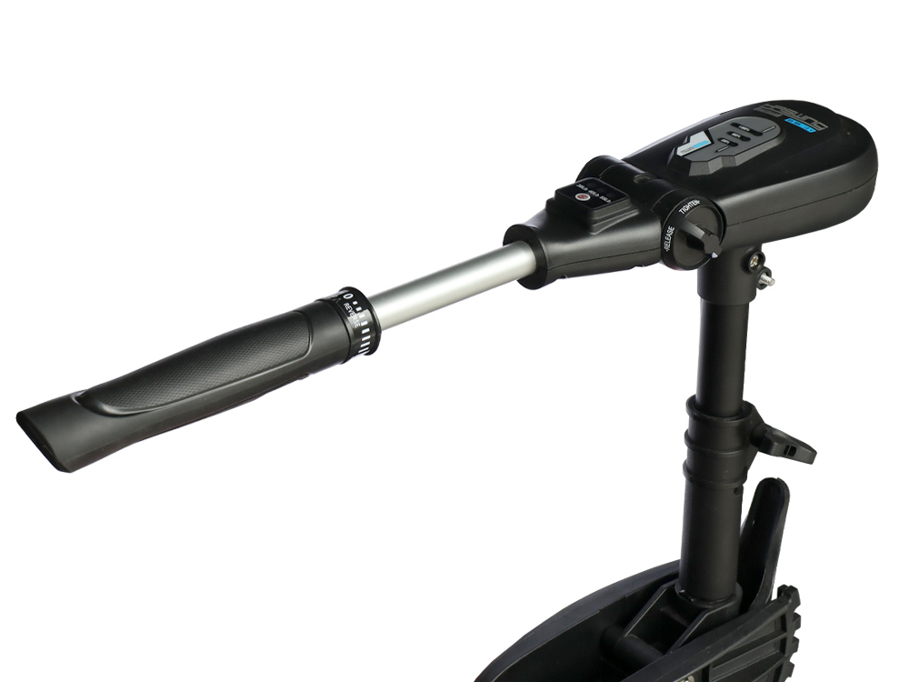 Haswing Protruar Genius / 600W 12V