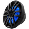 DS18 Lautsprecher 8" schwarz mit LED / NXL-8/BK