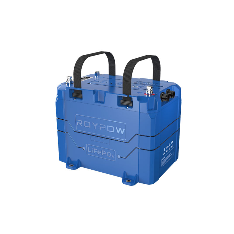 567594-RoyPow-12V100Ah.jpg