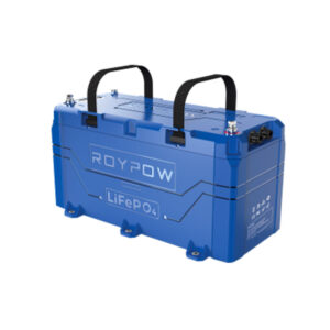 567601-RoyPow-36V100Ah.jpg
