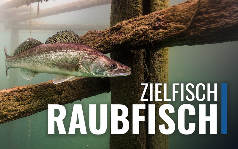 Echolotzentrum.de