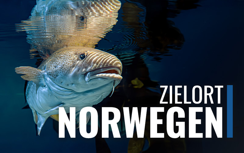 Echolotzentrum.de